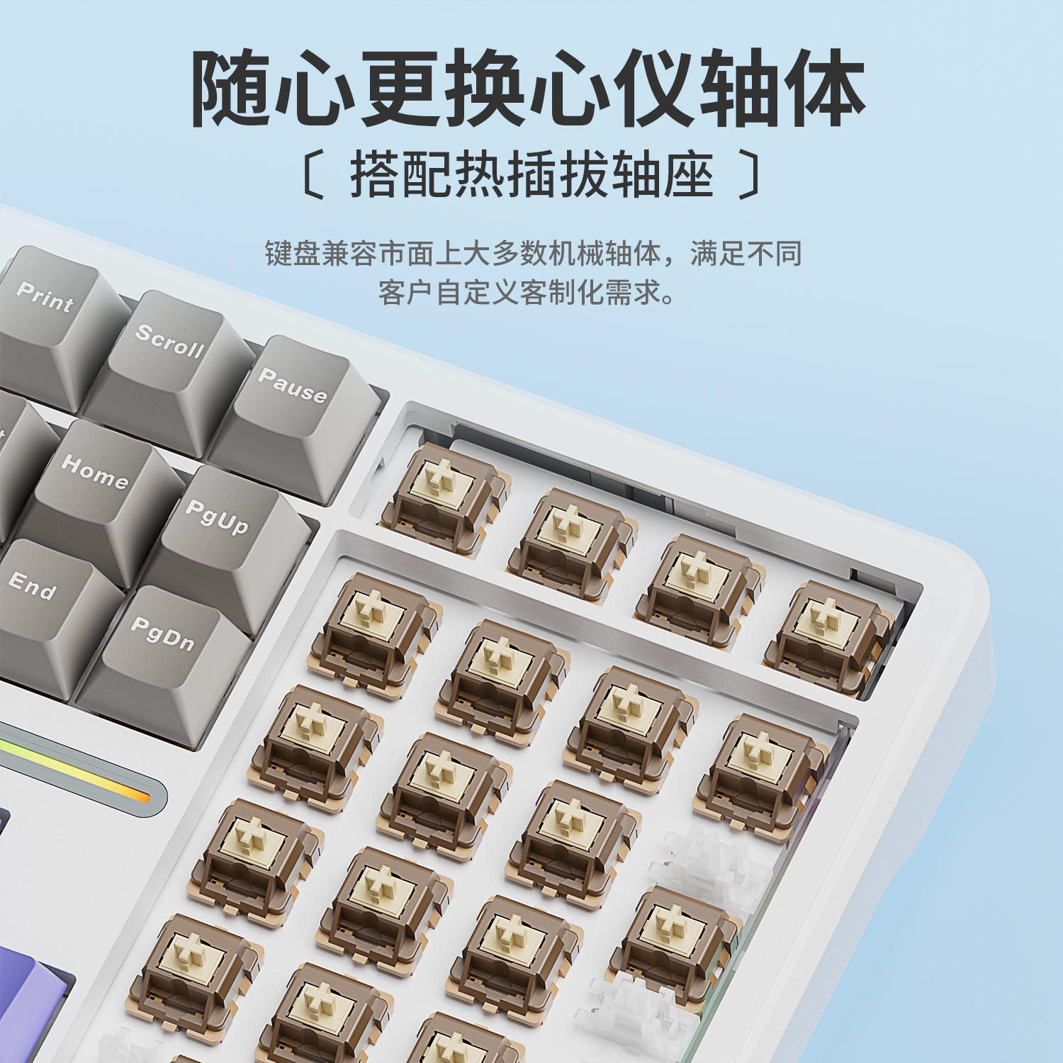 购物之前要识货 正品保障|平台比价|售后无忧