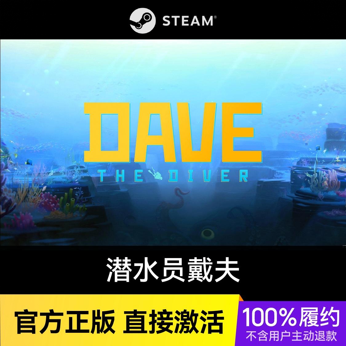 商品配色： Steam标准版