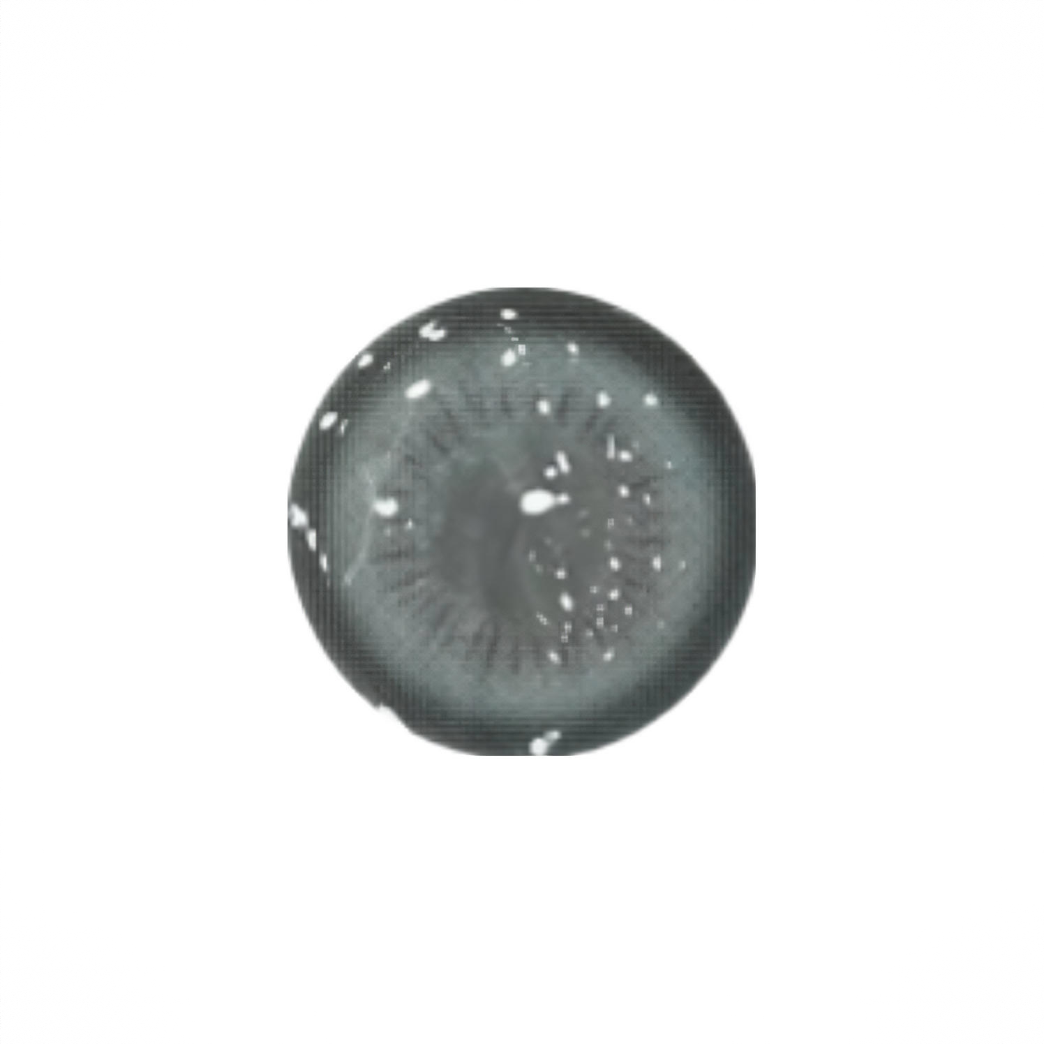 商品配色： 蛋糕卷灰14.2mm